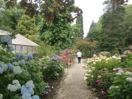 Steyl : Maashoek, Botanischer Garten Jochumhof